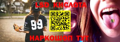 гашик Шелехов