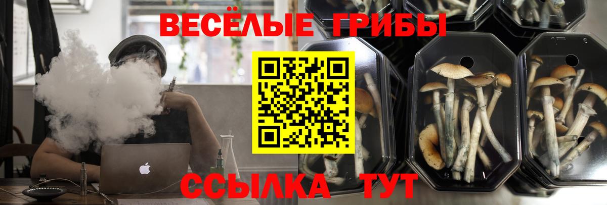 Псилоцибиновые грибы ЛСД  Вход с VPN  Мыски  Галлюциногенные грибы Cubensis 